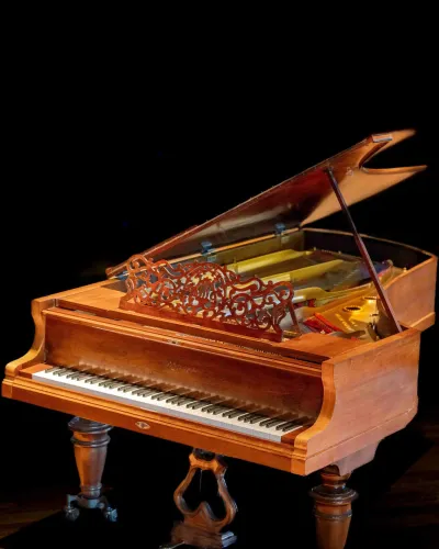 Bluthner grand piano